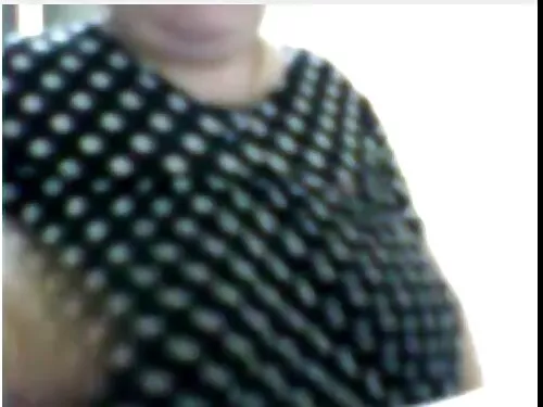 Viščiukas ilgomis ko ...